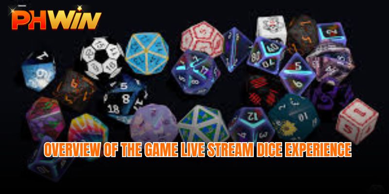 Overview of the game Live stream dice experience at Phwin