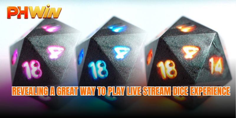 Revealing a great way to play Live stream dice experience