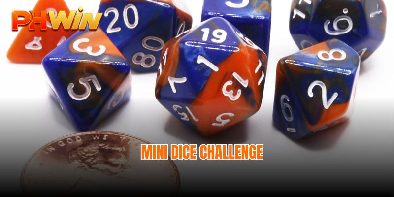 Mini Dice Challenge What's Attractive about Phwin