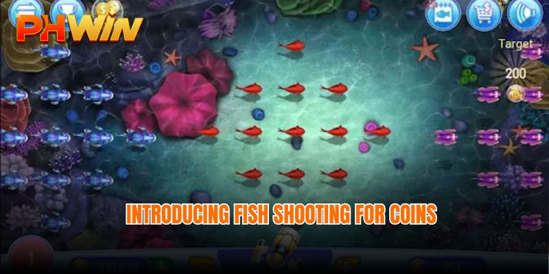 Introducing Fish shooting for coins